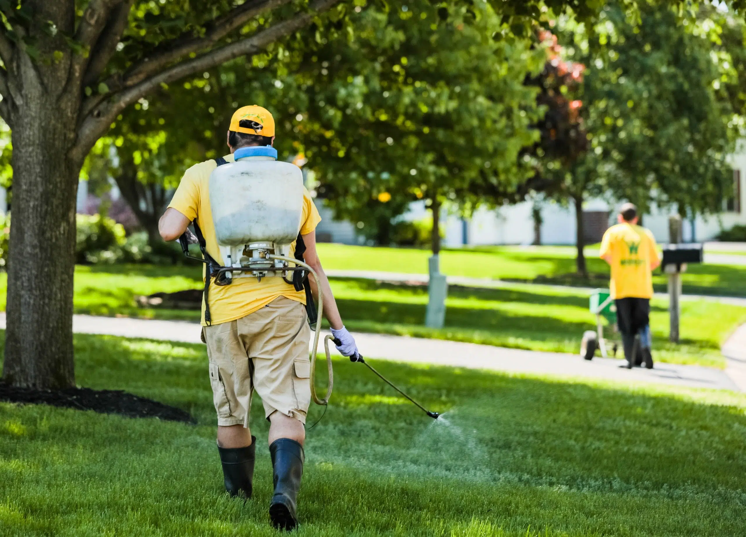 Transform Your Turf with a Proven Weed Control and Fertilizing Program in Rosemount, MN